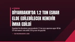 Diyarbakır’da 1.2 Ton Esrar Elde Edilebilecek Kenevir İmha Edildi