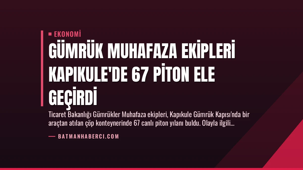 Gümrük Muhafaza Ekipleri Kapıkule’de 67 Piton Ele Geçirdi